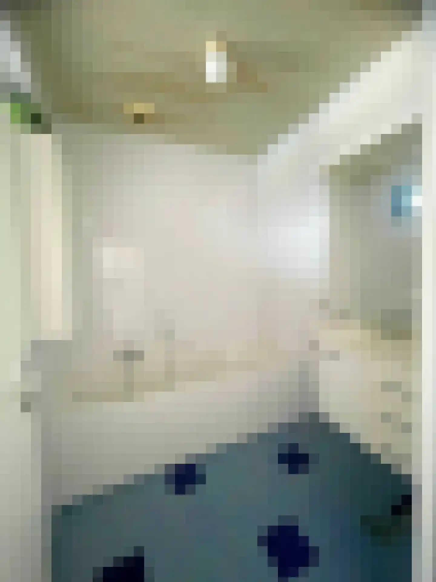 Op de Coul 34 Papenhoven thumbnail 30