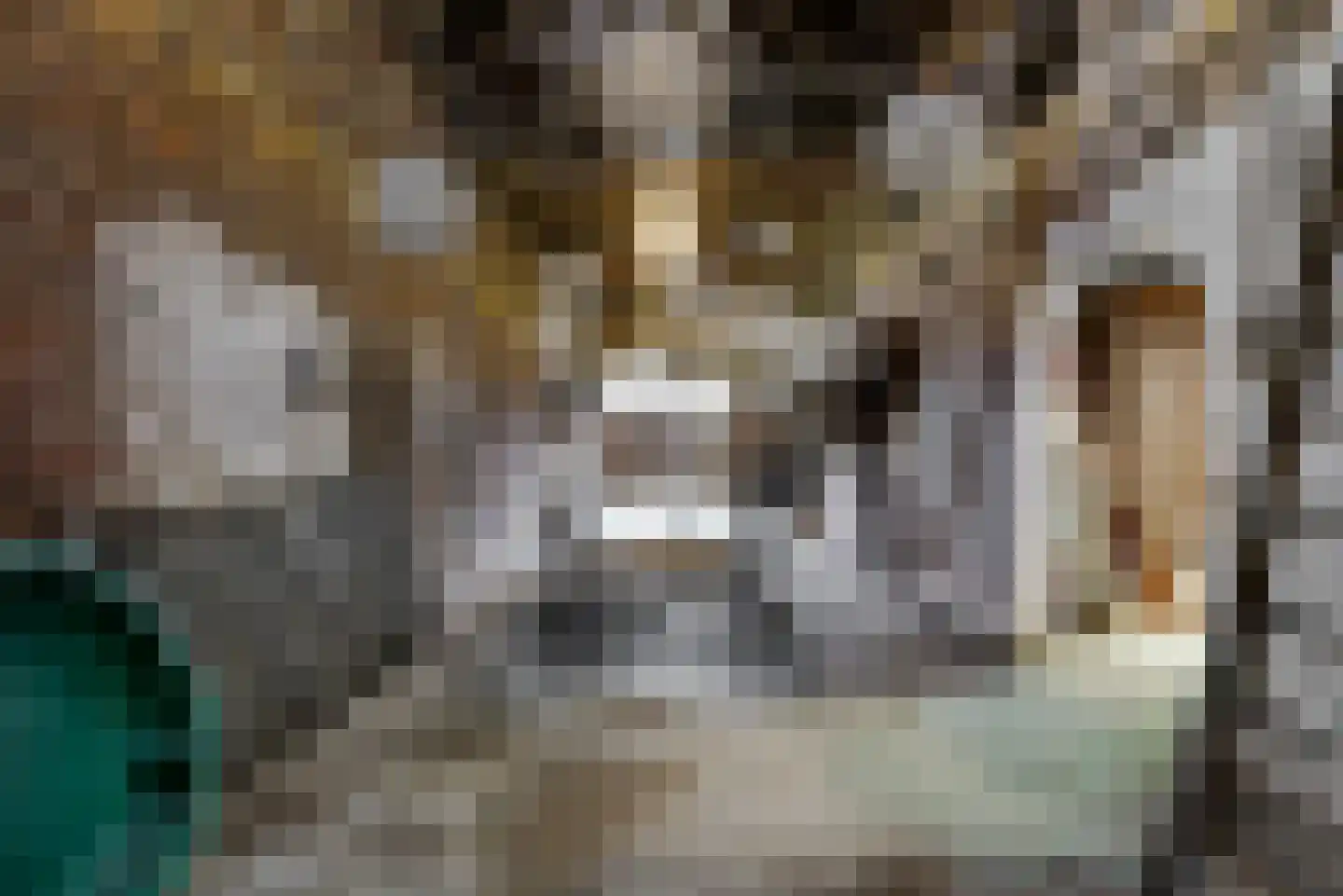 Op de Coul 34 Papenhoven thumbnail 36