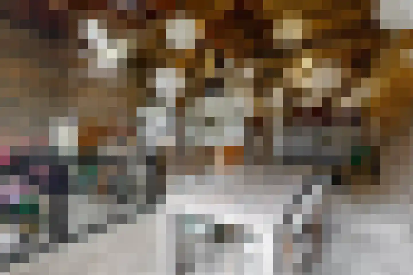 Op de Coul 34 Papenhoven thumbnail 37