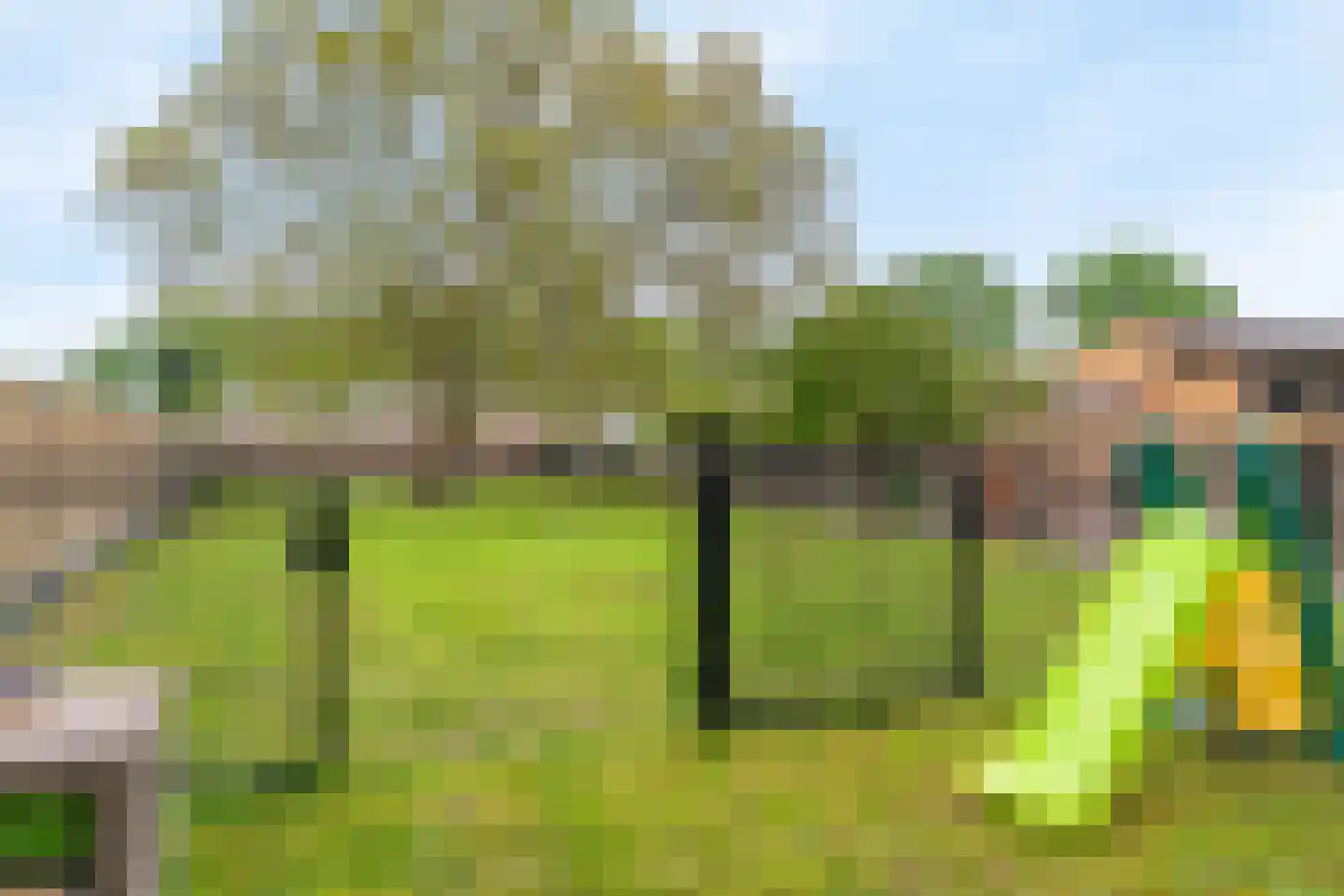 Op de Coul 34 Papenhoven thumbnail 41