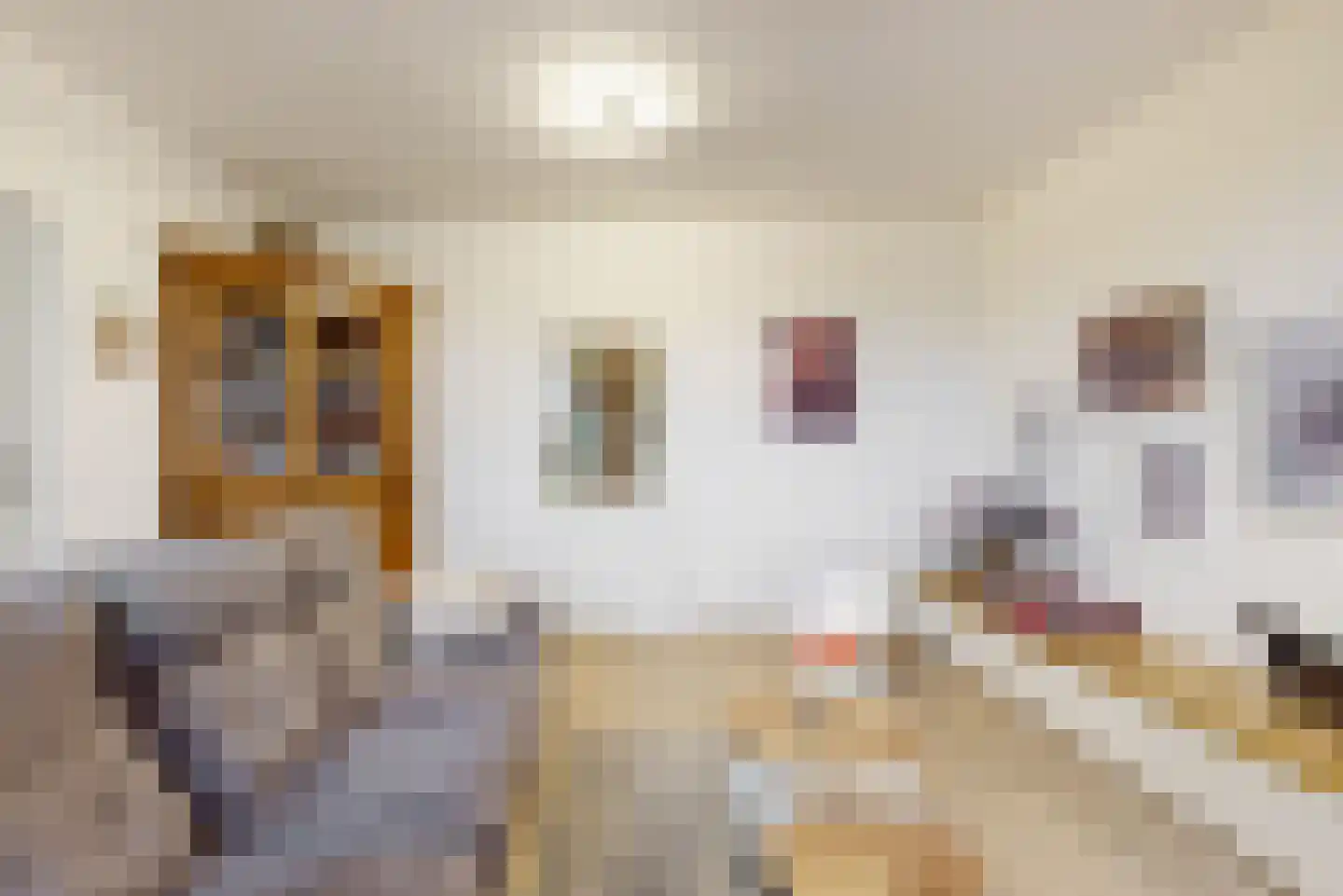 Op de Coul 34 Papenhoven thumbnail 7