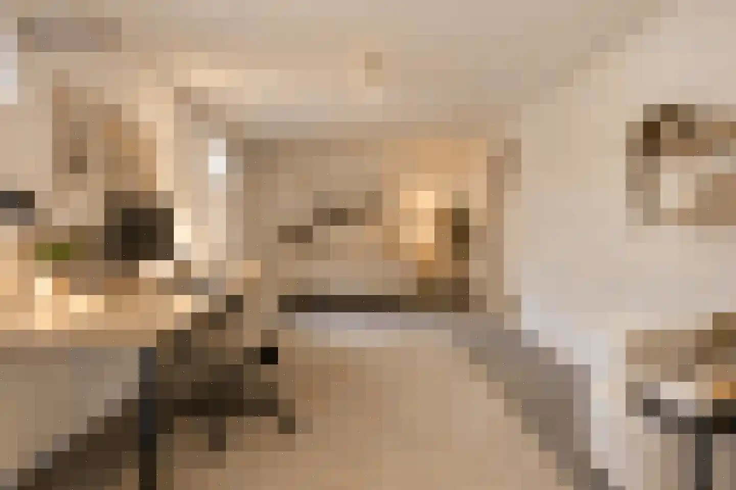 Op de Diéke 3 Gronsveld thumbnail 39