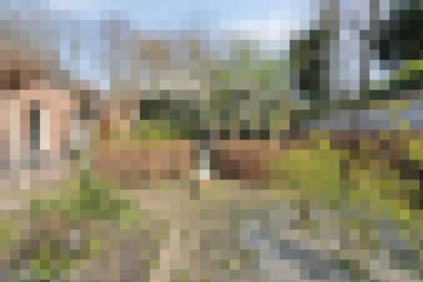 Op de Diéke 3 Gronsveld thumbnail 45