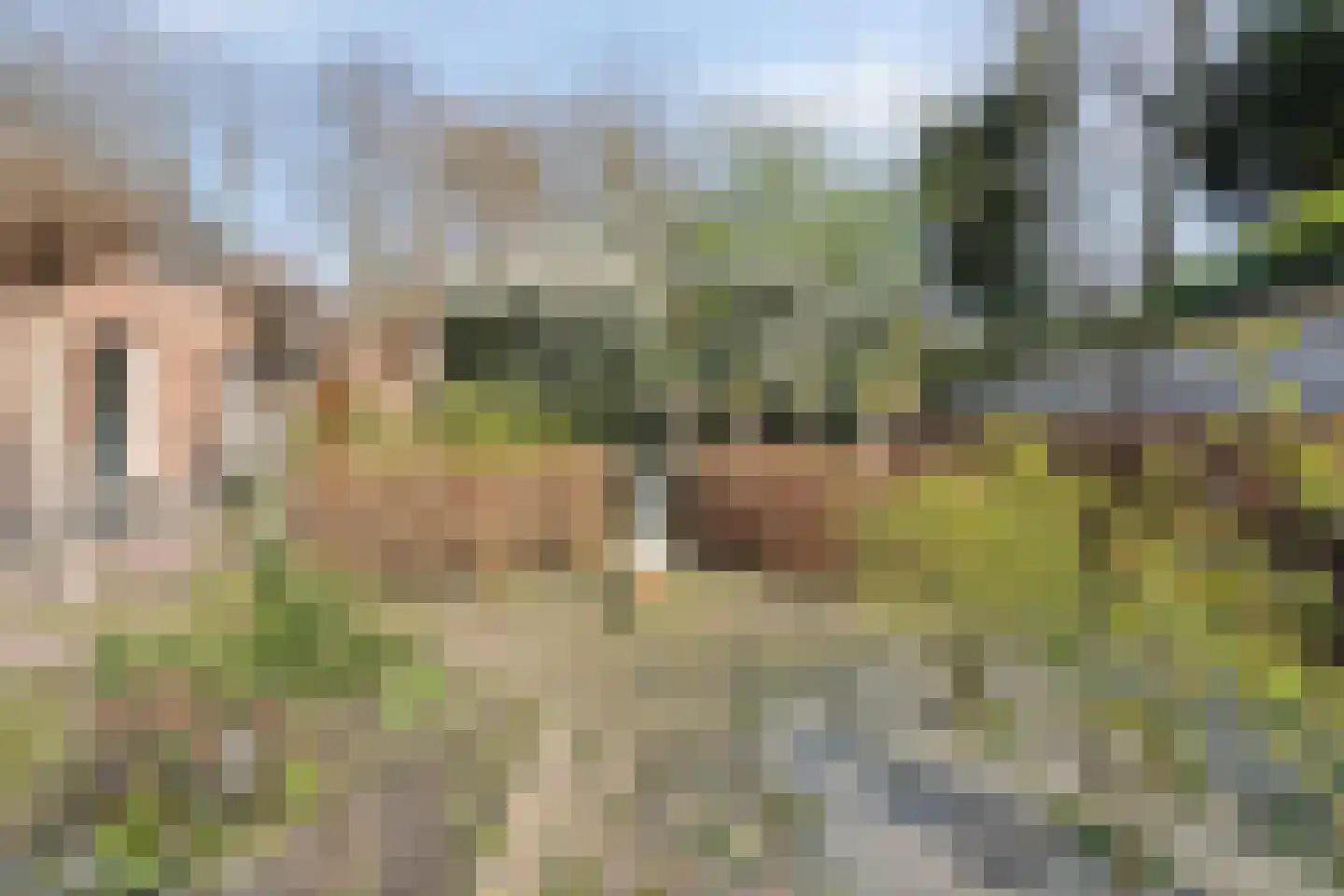 Op de Diéke 3 Gronsveld thumbnail 48