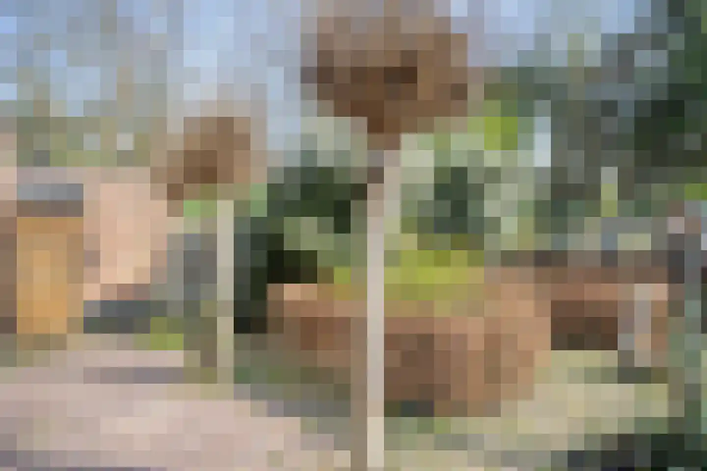 Op de Diéke 3 Gronsveld thumbnail 50
