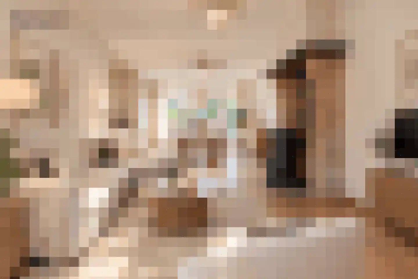 Op de Diéke 3 Gronsveld thumbnail 6