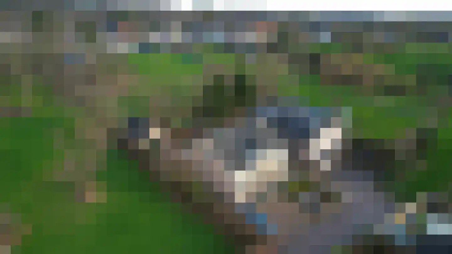 Op de Diéke 3 Gronsveld thumbnail 65