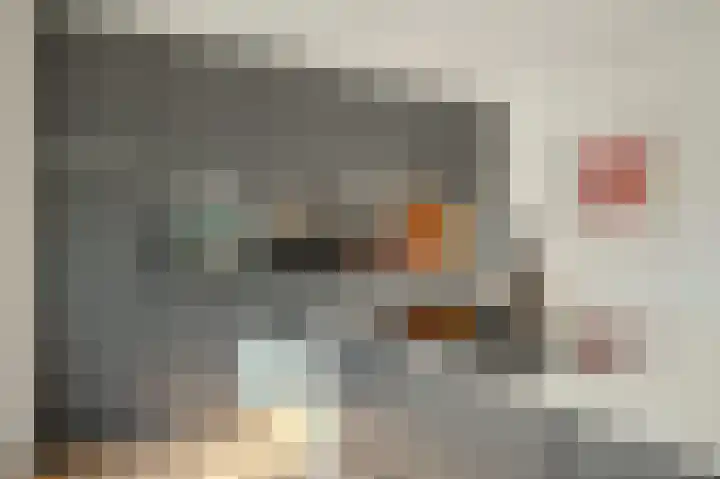 Op de Dreef 3 Herten thumbnail 14