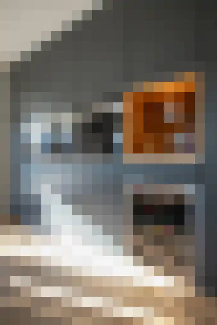 Op de Dreef 3 Herten thumbnail 15