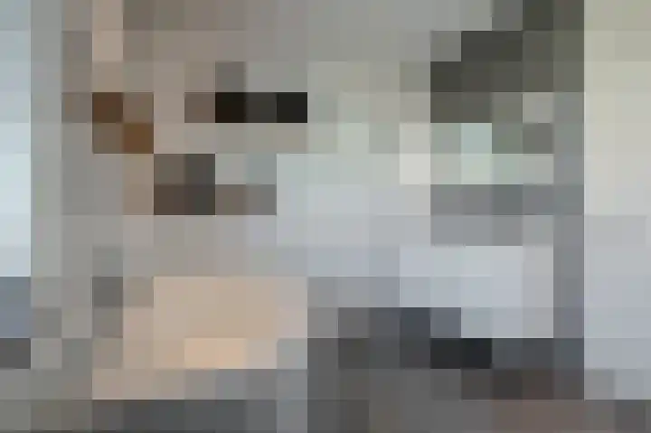 Op de Dreef 3 Herten thumbnail 26