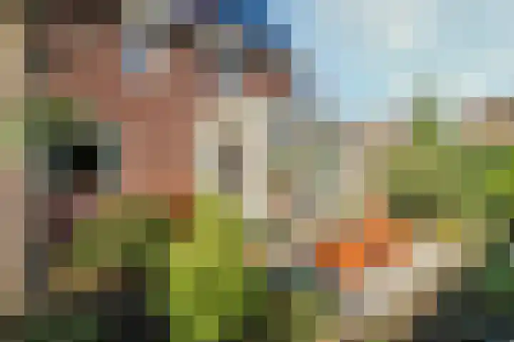 Op de Dreef 3 Herten foto 3