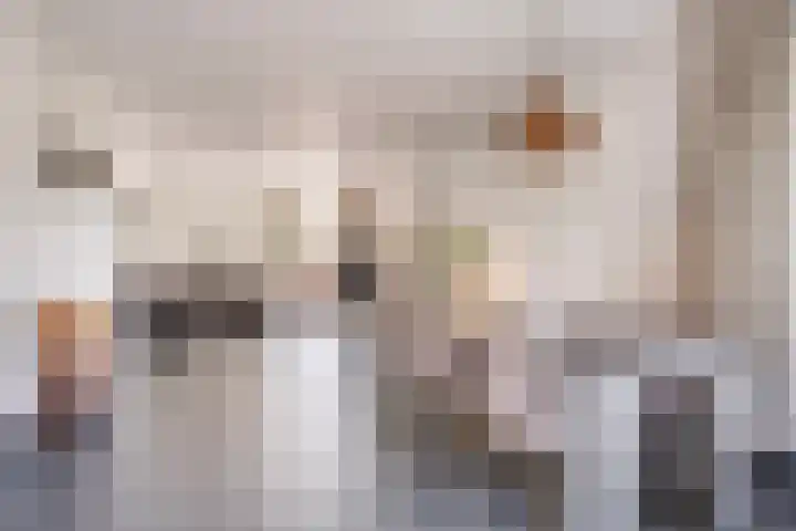 Op de Dries 126 Berg en Terblijt thumbnail 12