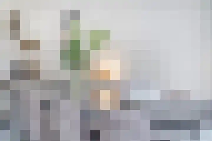 Op de Dries 126 Berg en Terblijt thumbnail 15