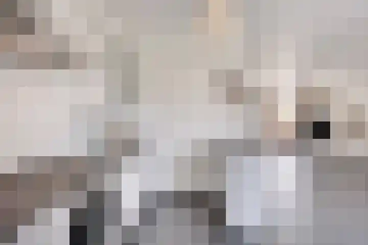 Op de Dries 126 Berg en Terblijt thumbnail 17
