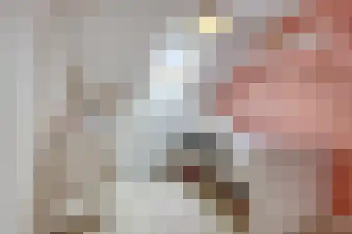 Op de Dries 126 Berg en Terblijt thumbnail 23