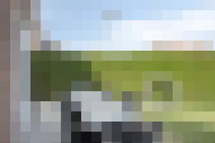 Op de Dries 126 Berg en Terblijt thumbnail 29