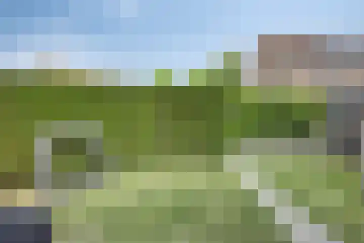 Op de Dries 126 Berg en Terblijt thumbnail 30