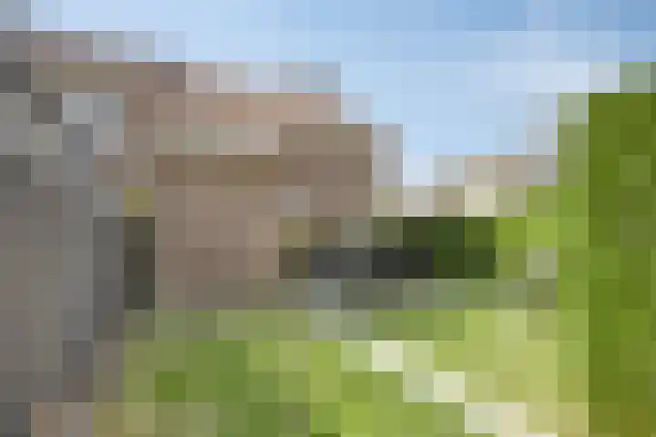 Op de Dries 126 Berg en Terblijt thumbnail 32