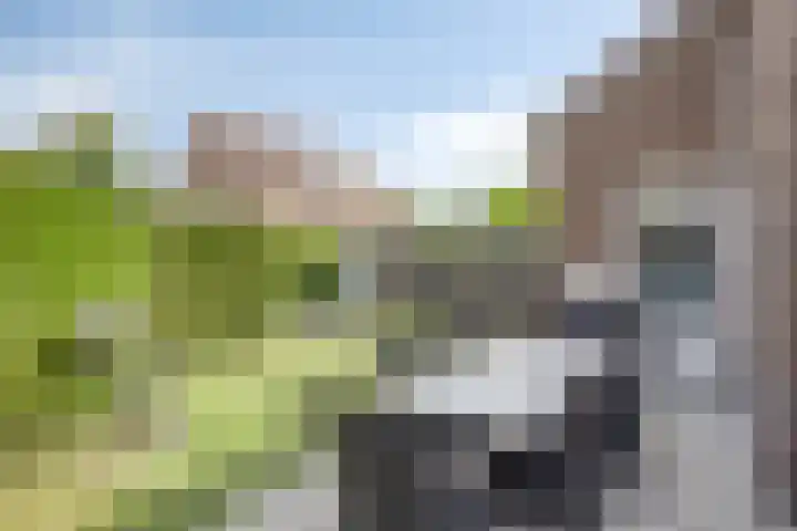 Op de Dries 126 Berg en Terblijt thumbnail 4