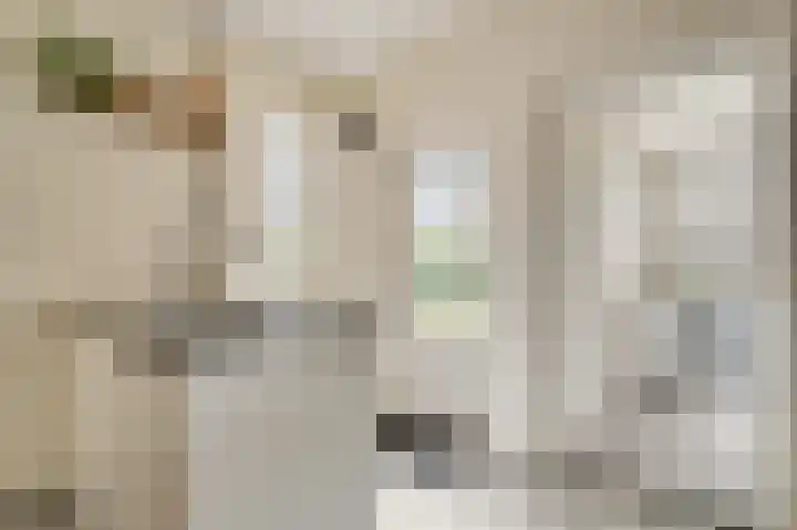 Op de Dries 24 Berg en Terblijt thumbnail 10