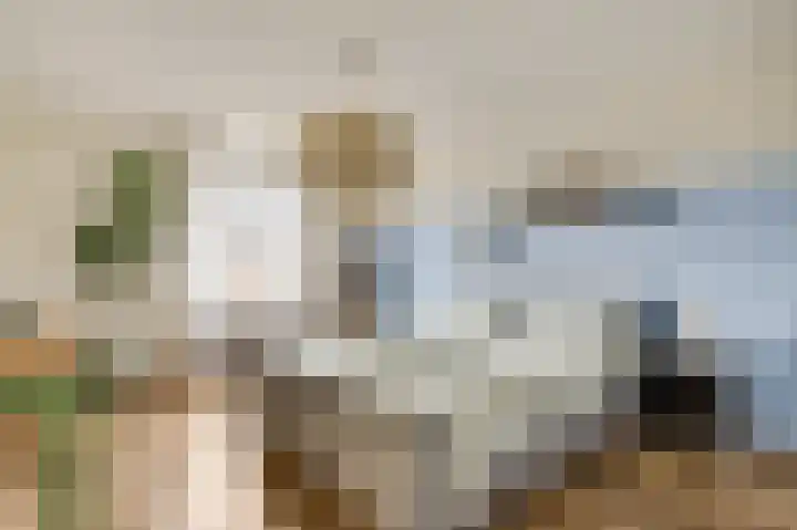Op de Dries 24 Berg en Terblijt thumbnail 13