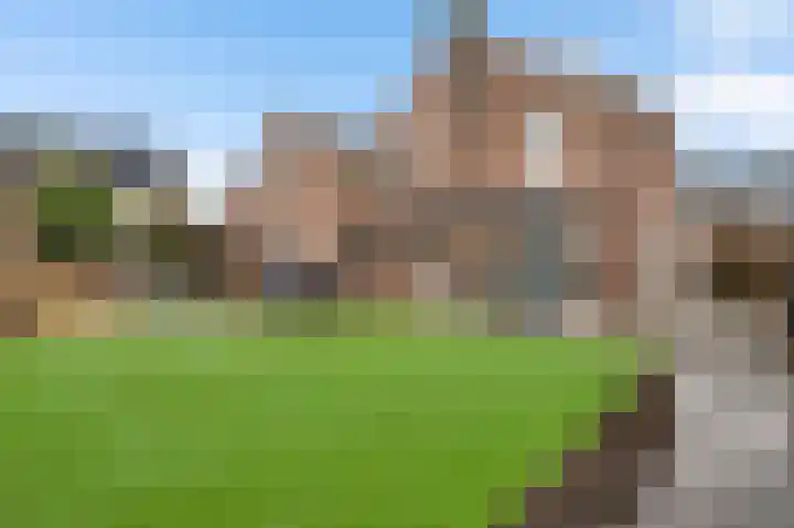 Op de Dries 24 Berg en Terblijt thumbnail 21