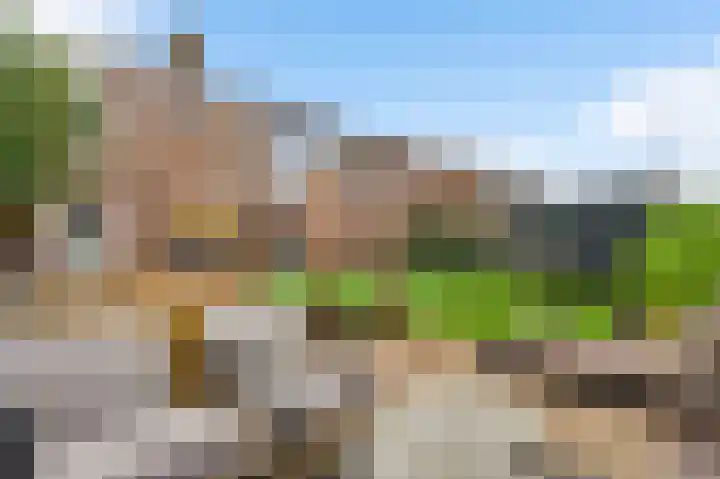 Op de Dries 24 Berg en Terblijt thumbnail 22