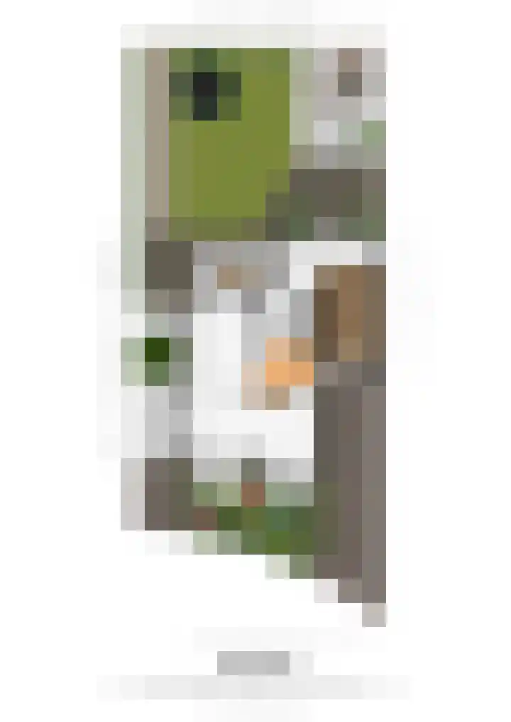 Op de Dries 24 Berg en Terblijt thumbnail 25