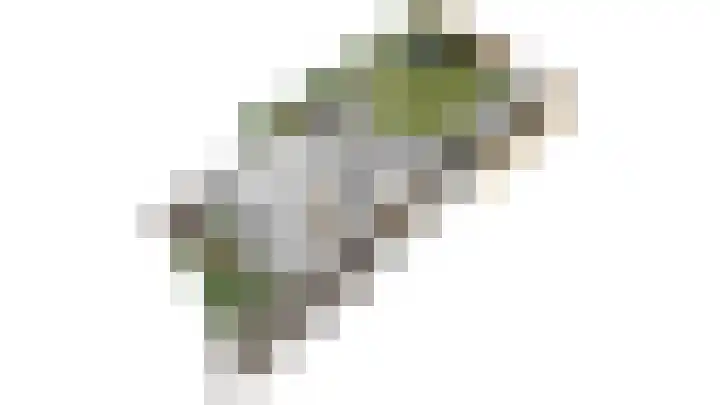 Op de Dries 24 Berg en Terblijt thumbnail 26