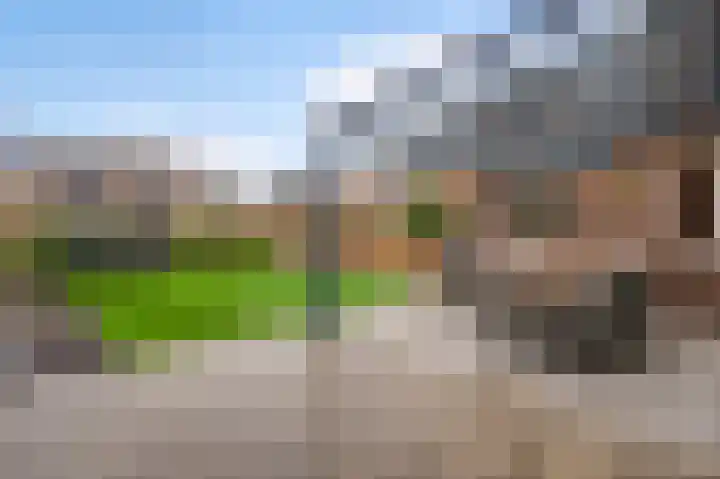 Op de Dries 24 Berg en Terblijt thumbnail 4