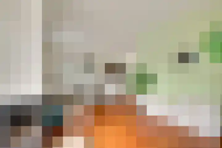 Op de Dries 24 Berg en Terblijt thumbnail 5