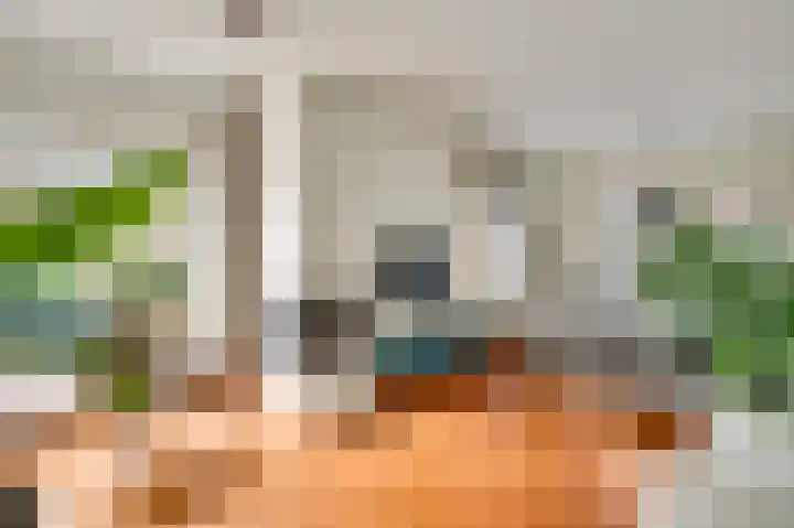 Op de Dries 24 Berg en Terblijt thumbnail 6