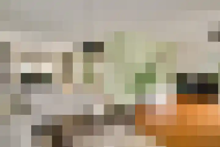 Op de Dries 24 Berg en Terblijt thumbnail 7