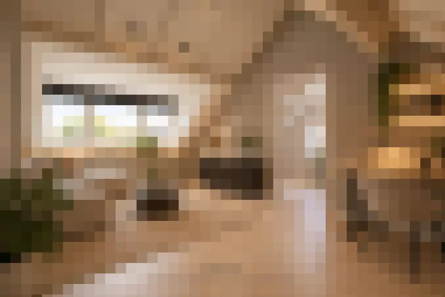 Op de Dries 66 Berg en Terblijt thumbnail 21