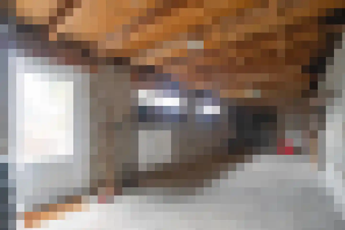 Op de Dries 66 Berg en Terblijt thumbnail 24