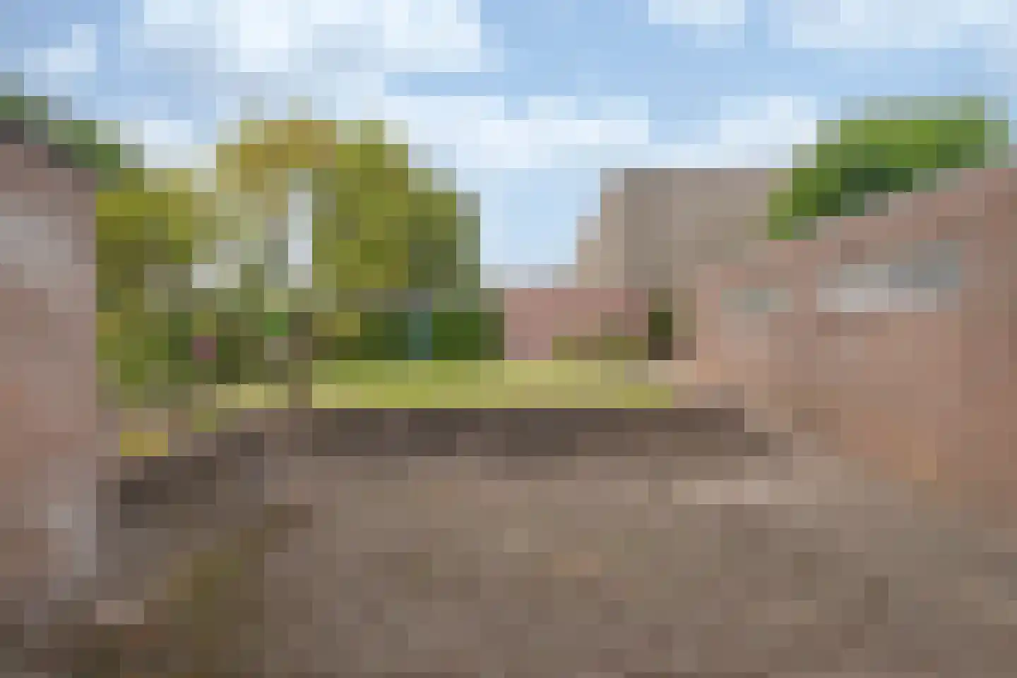 Op de Dries 66 Berg en Terblijt thumbnail 26