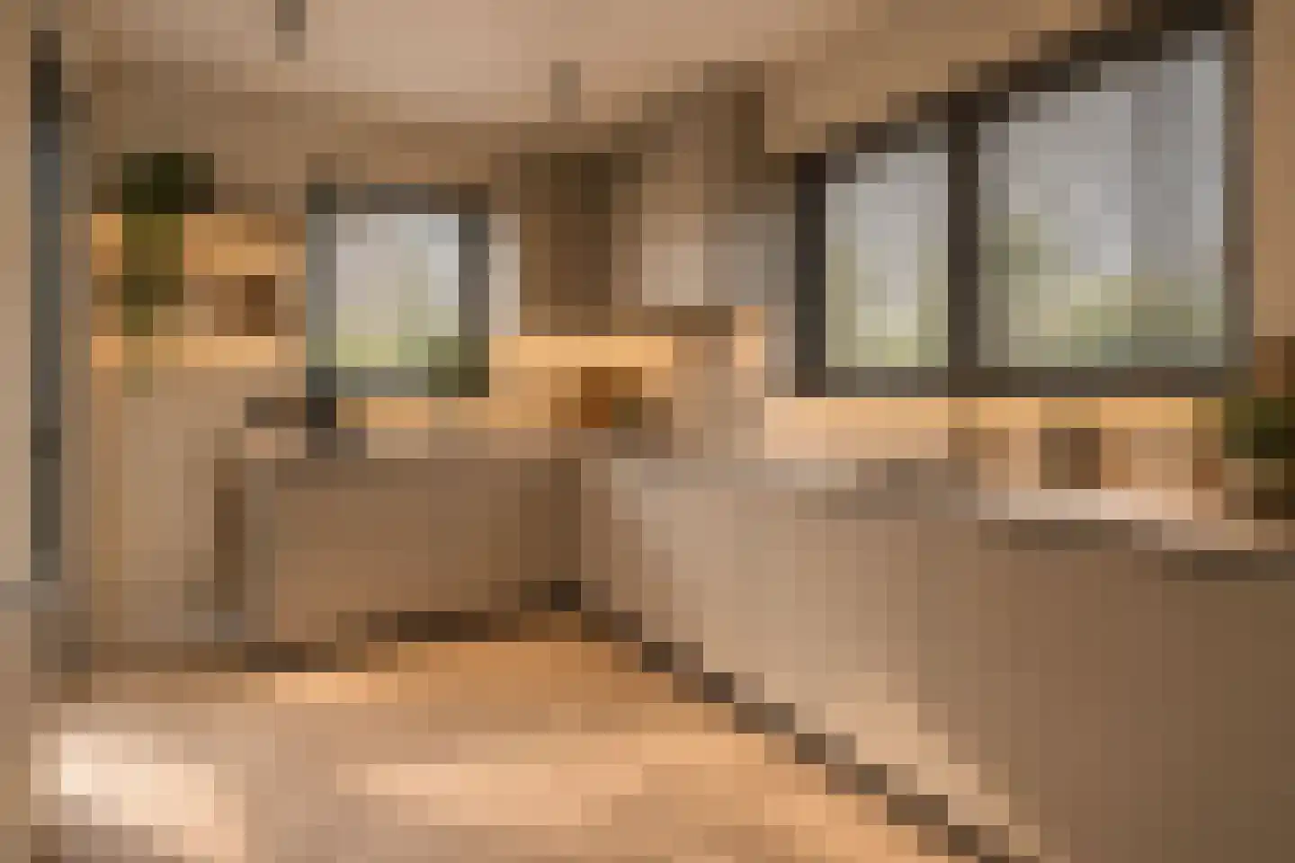 Op de Dries 66 Berg en Terblijt thumbnail 7