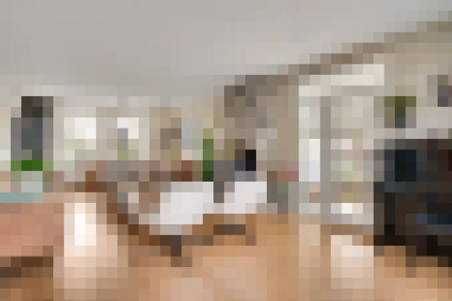 Op de Dries 98 Berg en Terblijt thumbnail 6