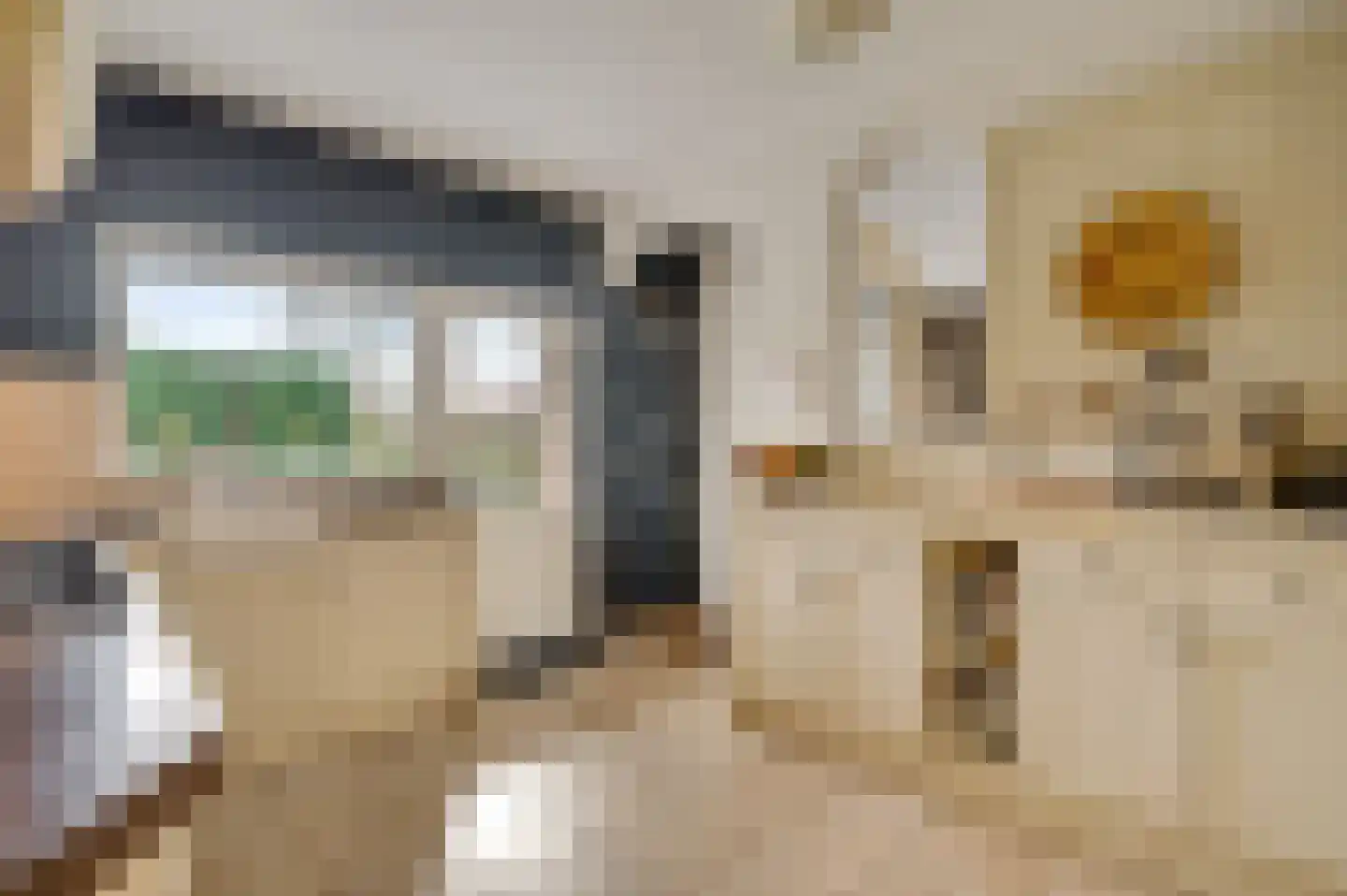 Op de Dries 98 Berg en Terblijt thumbnail 8