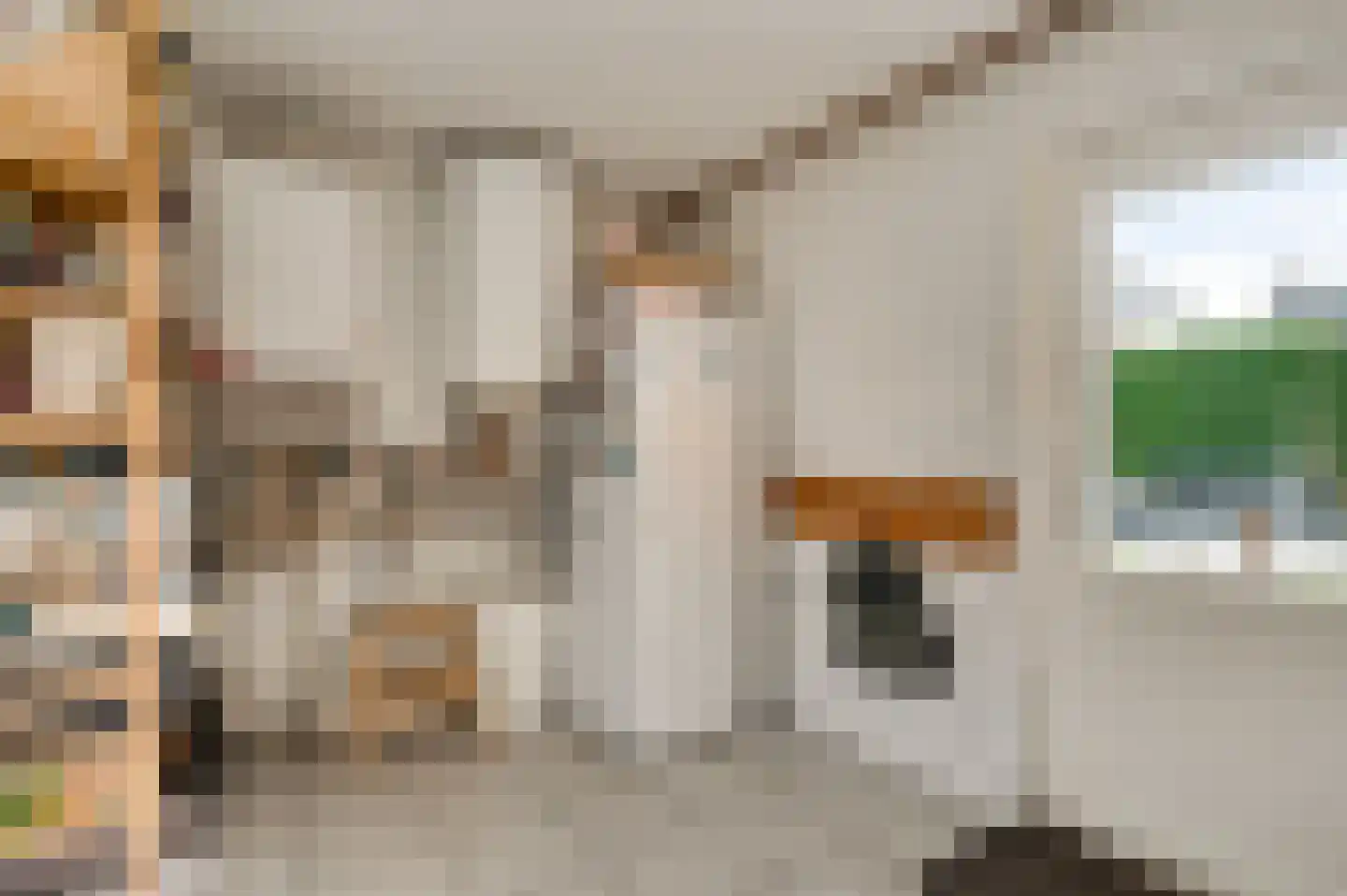 Op de Dries 98 Berg en Terblijt thumbnail 9
