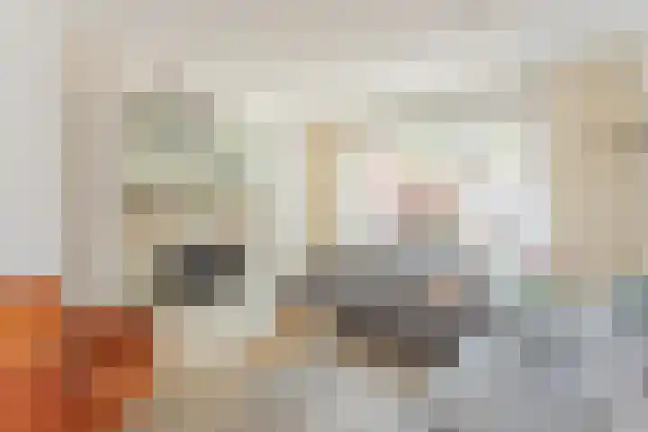 Op de Driessen 67 Koningsbosch thumbnail 6