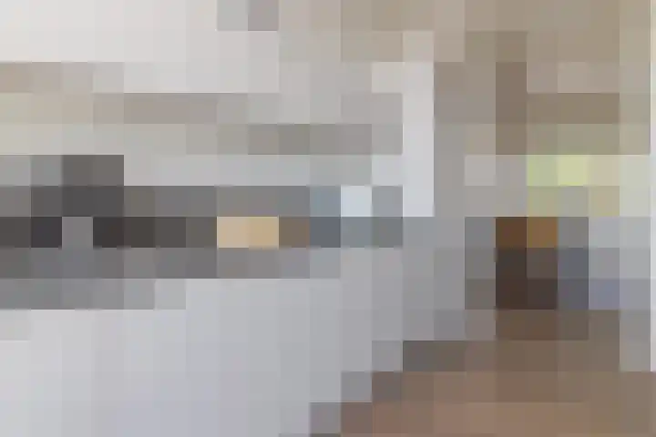 Op de Graaf 34 Oirsbeek thumbnail 13