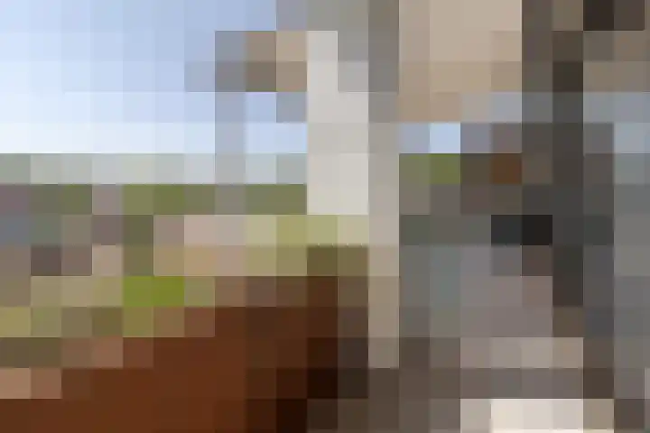 Op de Graaf 34 Oirsbeek thumbnail 15