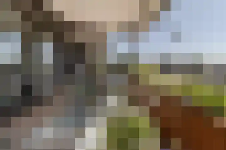 Op de Graaf 34 Oirsbeek thumbnail 16