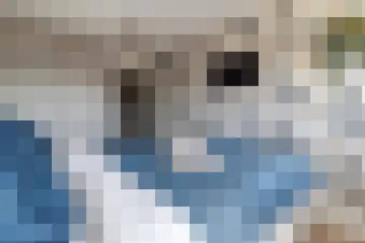 Op de Graaf 34 Oirsbeek thumbnail 21