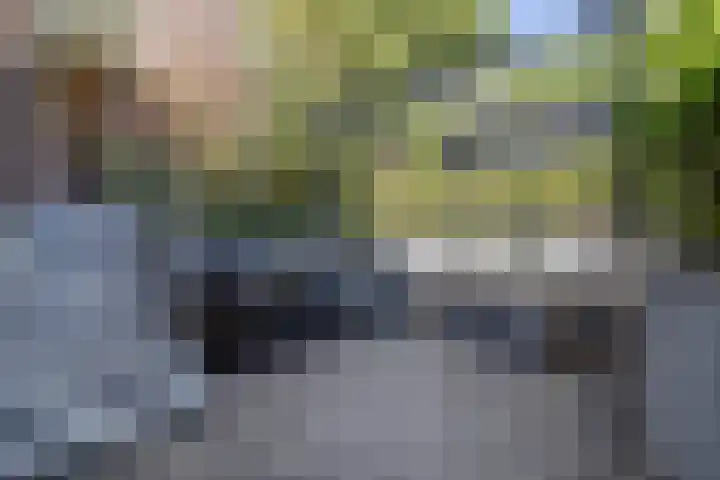 Op de Graaf 34 Oirsbeek thumbnail 29