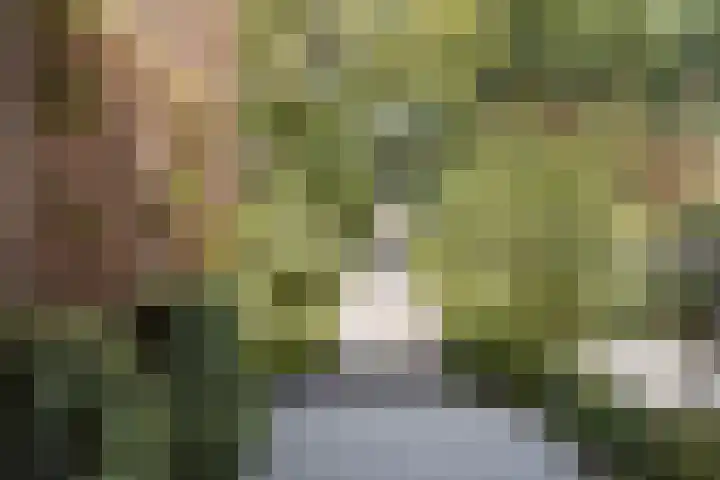 Op de Graaf 34 Oirsbeek thumbnail 31