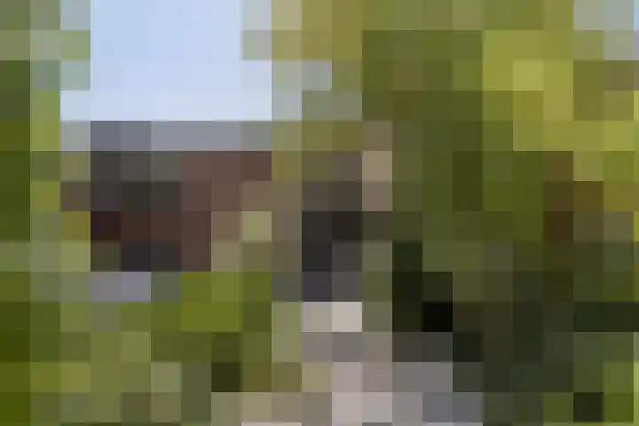 Op de Graaf 34 Oirsbeek thumbnail 5