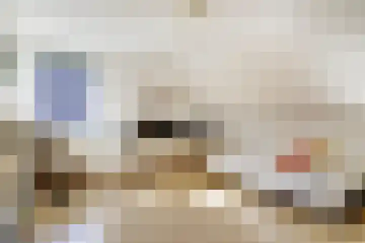 Op de Grensberg 15 Venlo thumbnail 12