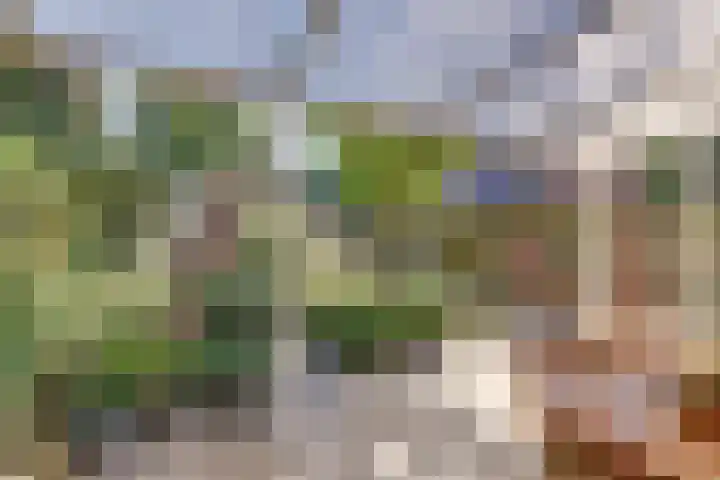 Op de Grensberg 15 Venlo thumbnail 18